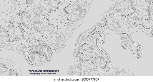 Abstract topographic lines loops background. Topographic lines contour concept. Geographic map grid. Vector illustration. 