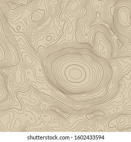 Abstract topographic map background with brown height lines
