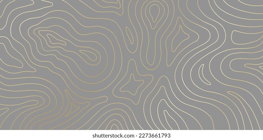 Abstract topographic map background with golden lines, Grey background and mountain gold countours. Geographic grid map vector