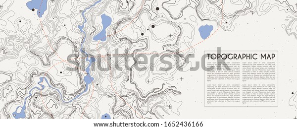 Abstract topographic map background. Topo backdrop\
lines, contour, geographic grid. Vector illustration with place for\
text