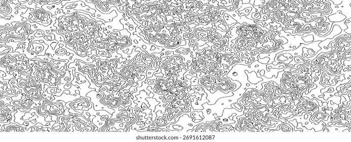 Abstract Topographic Map in Black and White Detailed Contour Lines