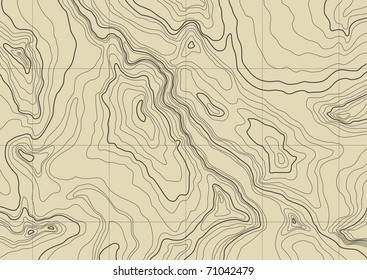 abstract topographic map in brown colors