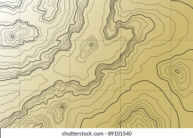 Abstract Topographic Map In Brown Colors