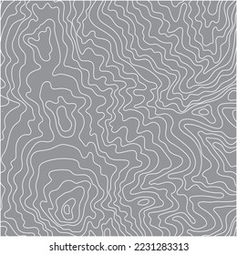 abstract Topographic Map contour line with grey background