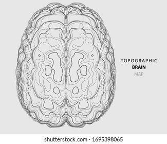 Abstract topographic map of human brain. Conceptual of creative and artificial intelligence. Futuristic forms of lines brain structure.