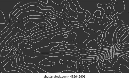 Abstract topographic map. Vector background.
