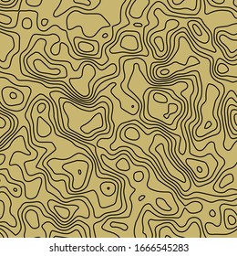 An abstract topographical contour map background image.