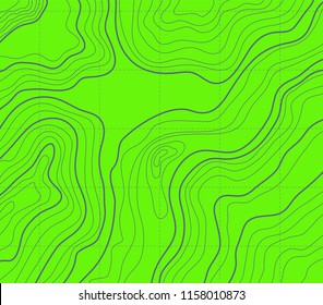 abstract topographical green map , vector