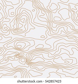 Abstract  topographical map. Can be used for web page background, surface textures, banner, flayer, book cover, poster. Wavy graphic background. Isolated wiggly lines