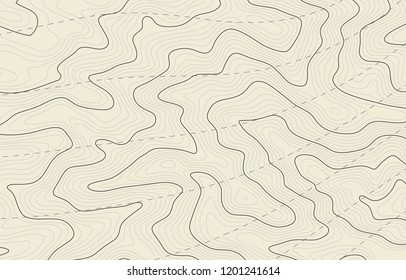 Abstract Topography Contour Map