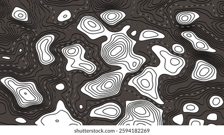 Abstract Topography line poster vector. The concept of a topographic contour geography scheme and the terrain path. 