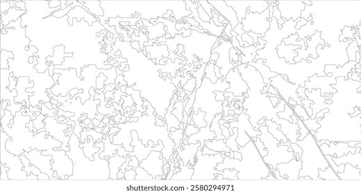 Abstract topography wave paper curved reliefs white line background, contours topography map background, topography and geography map grid background.