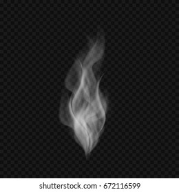 Abstract transparent realistic smoke or vapor. Vector illustration