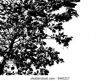 abstract tree background