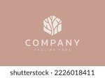 Abstract Tree Branch in Hexagon Logo Design