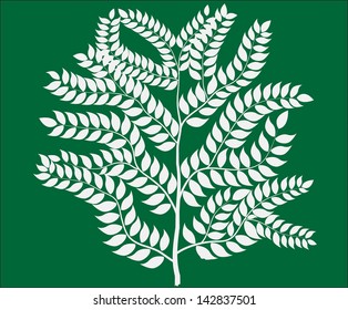 abstract  Tree Branches, symbol of nature on background green