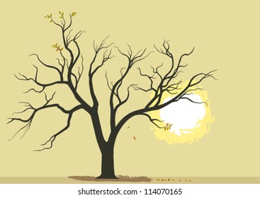 Abstract Tree and Burning Sun