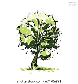 Abstract tree in color sketch style on white paper for landscape design on white background. Vector illustration.