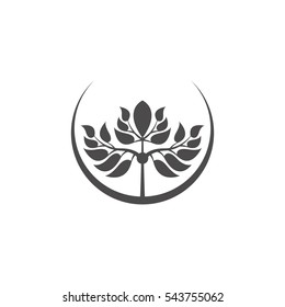 Abstract tree emblem. Tree silhouette isolated.