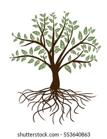 abstract tree with green leaves and roots on white. vector