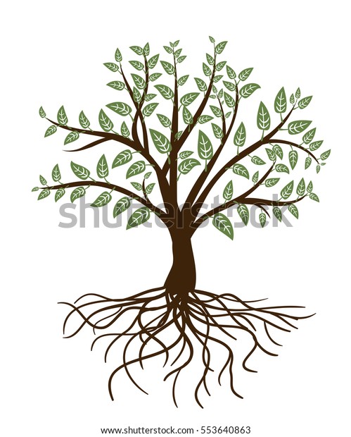 Abstract Tree Green Leaves Roots On Stock Vector (Royalty Free ...