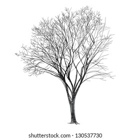 The abstract of Tree - Hand Drawn