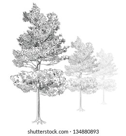 The Abstract of Tree - Hand Drawn