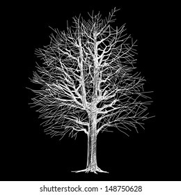 The abstract of tree hand - drawn