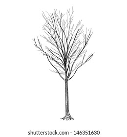 The abstract of Tree - Hand Drawn vector