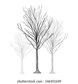 The abstract of Tree - Hand Drawn vector
