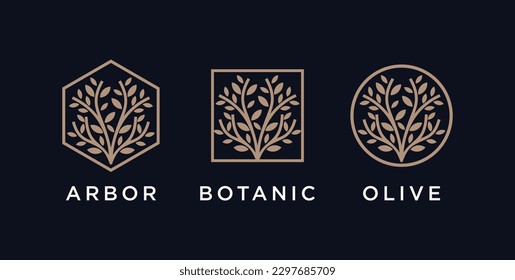 Abstract Tree of life logo icons set. Botanic nature symbols. Tree branch with leaves signs. Vector illustration