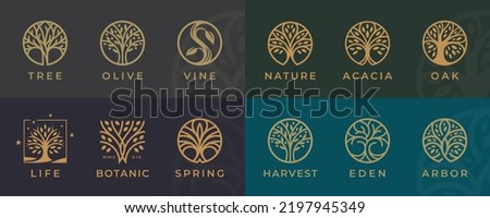 Abstract Tree of life logo icons set. Botanic plant nature symbols. Tree branch with leaves signs. Natural design elements emblem collection. Vector illustration.