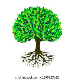 Banyan Tree Vector Illustration Roots Banyan Stock Vector (Royalty Free ...