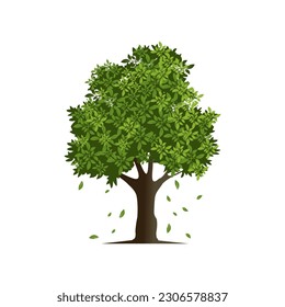 Abstract tree logo design, green tree and leaves, for tree logo concept isolated on white background