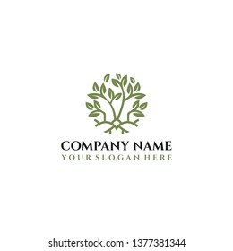 Abstract Tree Logo design inspiration. logo design template.