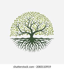 Abstract  Tree Logo Design, Root Vector