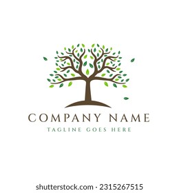 Abstract tree logo design, tree vector isolated on white background