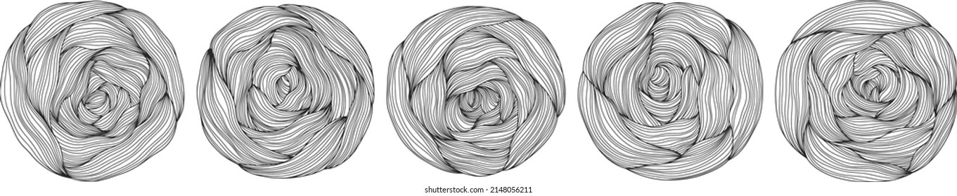Abstract tree rings. Vector topographic map concept. Seamless background. Thin black lines on white