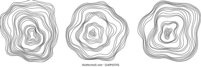 Anillos de árbol abstractos. Concepto de mapa topográfico vectorial. El fondo es impecable. Líneas negras delgadas en blanco
