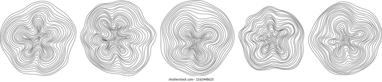 Anillos de árbol abstractos. Concepto de mapa topográfico vectorial. El fondo es impecable. Líneas negras delgadas en blanco