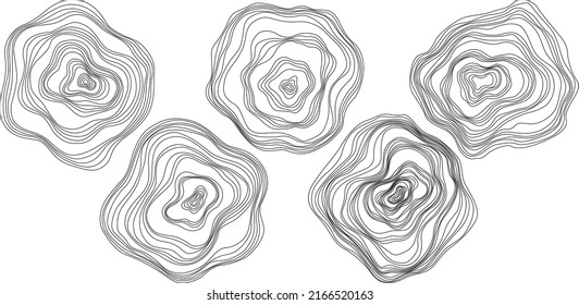 Abstract tree rings. Vector topographic map concept. Seamless background. Thin black lines on white