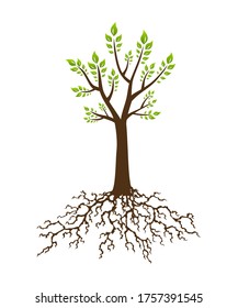 Árbol abstracto con raíz. Árbol con raíces y hojas exuberantes. Plantilla de diseño de identidad de marca corporativa