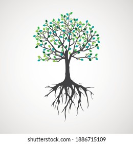 Abstract tree with roots. Vector outline illustration. Plant in Garden.