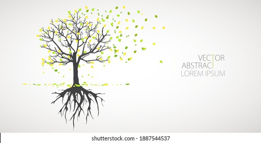 Abstract tree with roots. Vector outline illustration. Plant in Garden.