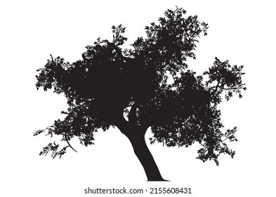 Silueta de árbol abstracto con hojas aisladas en un fondo blanco.