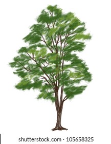 abstract of tree symbol isolated on white.