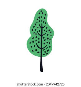 Abstract tree with trunk and crown in simple doodle style. Naive childish art. Primitive birch drawing. Kids botanical flat vector illustration of forest plant isolated on white background