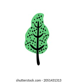 Abstract tree with trunk and crown in simple doodle style. Naive childish art. Primitive birch drawing. Kids botanical flat vector illustration of forest plant isolated on white background