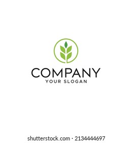 Abstract  Tree vector icon. Nature trees vector illustration logo design template.