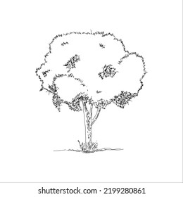 an abstract tree white background vector isolated